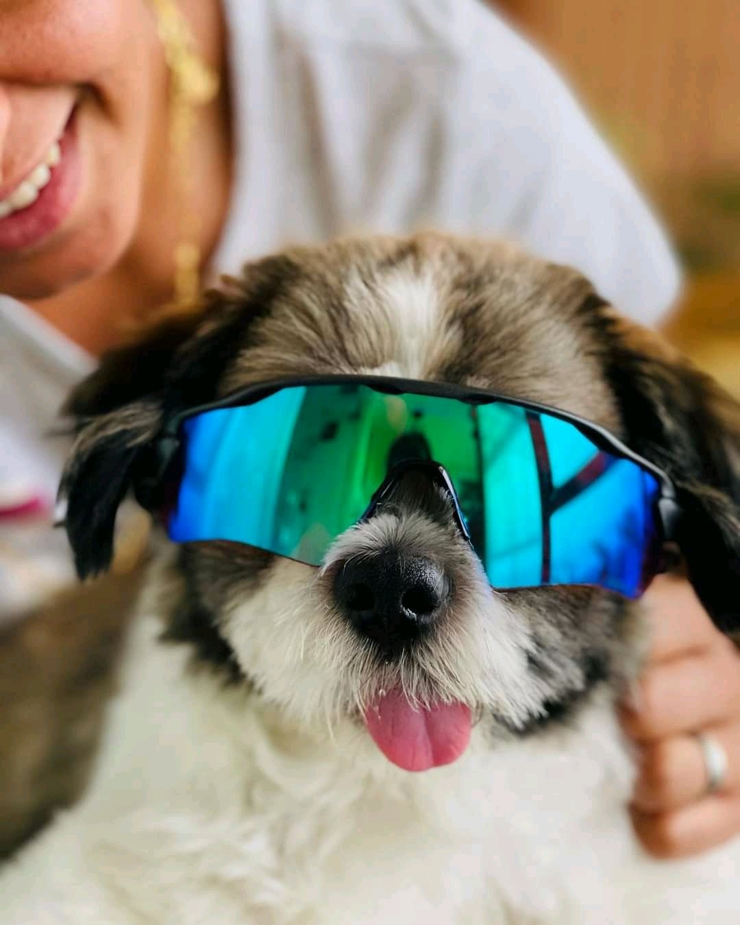 AnujSingh - DropMMS Unblock