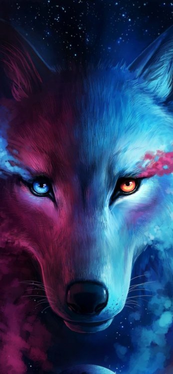 Cool-Phone-Wallpapers.jpg