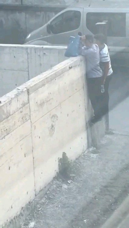 2022-02-24 10_54_37.jpg